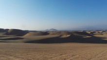L'oasis et le désert